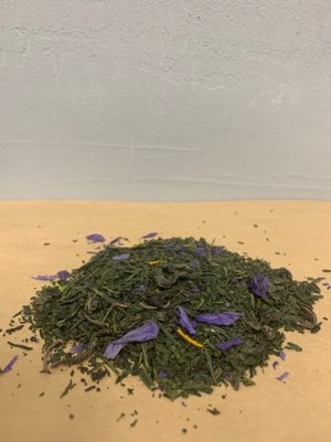 紫陽花(アジサイ)
